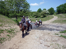 Romania-Transylvania-Transylvania Ride
